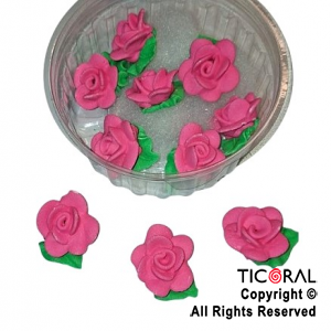 ROSAS GRANDES C/HOJA FUCSIA x 10
